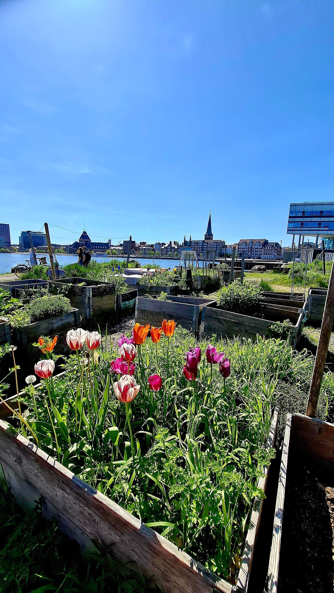 Орхус — фото для поездки