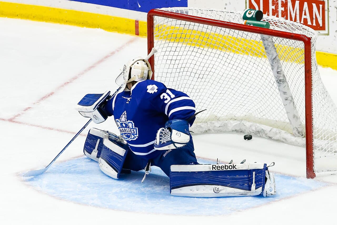 Абботсфорд — вид города