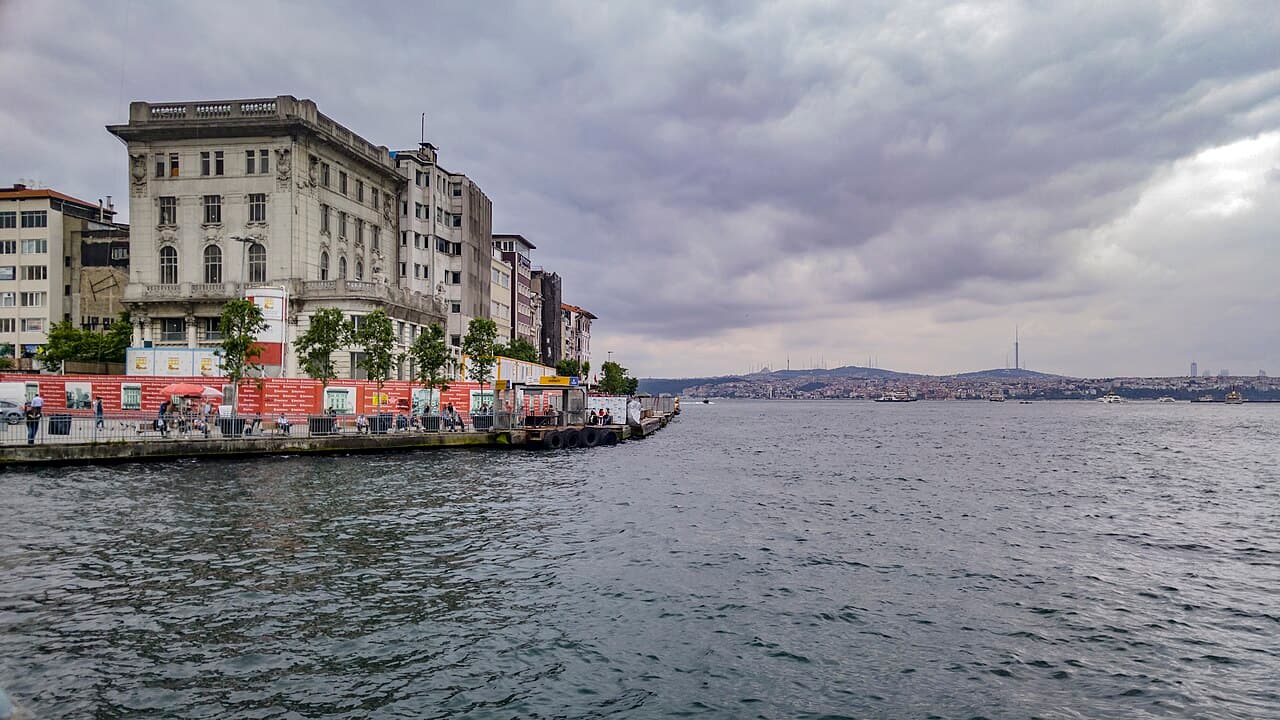 Фошань — вид