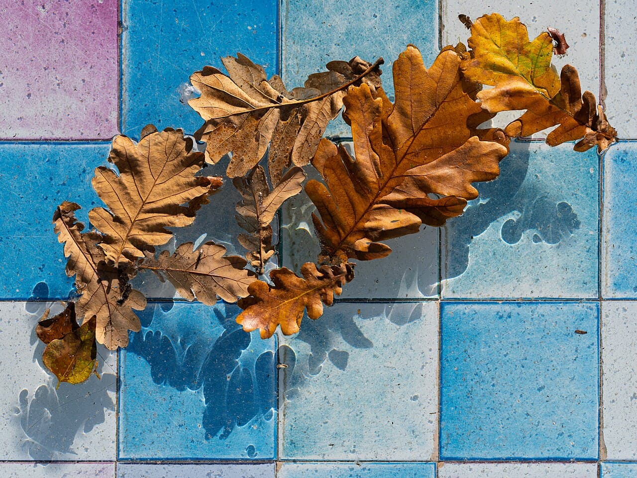 Лиссабон — вид города