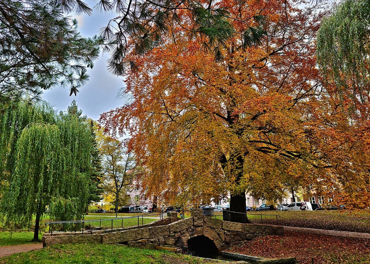 Осло — вид города