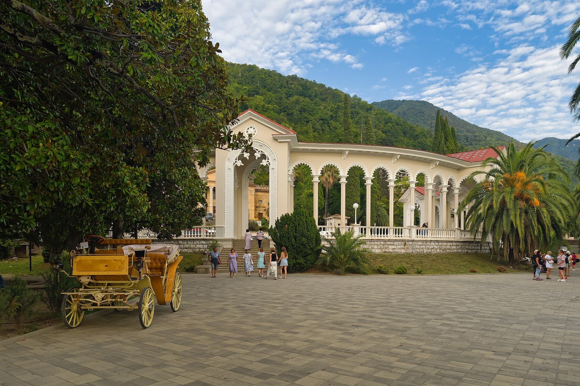 Абхазия — вид