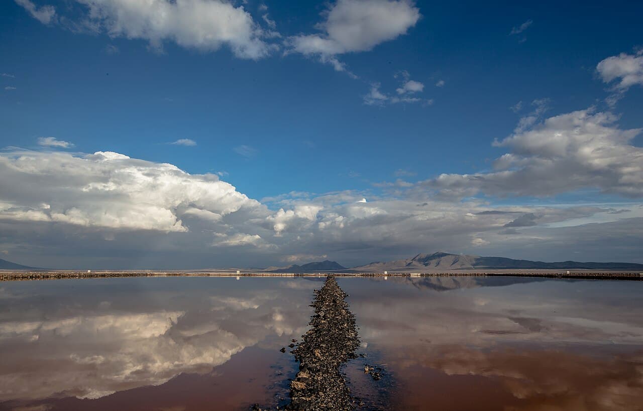 Алжир — вид