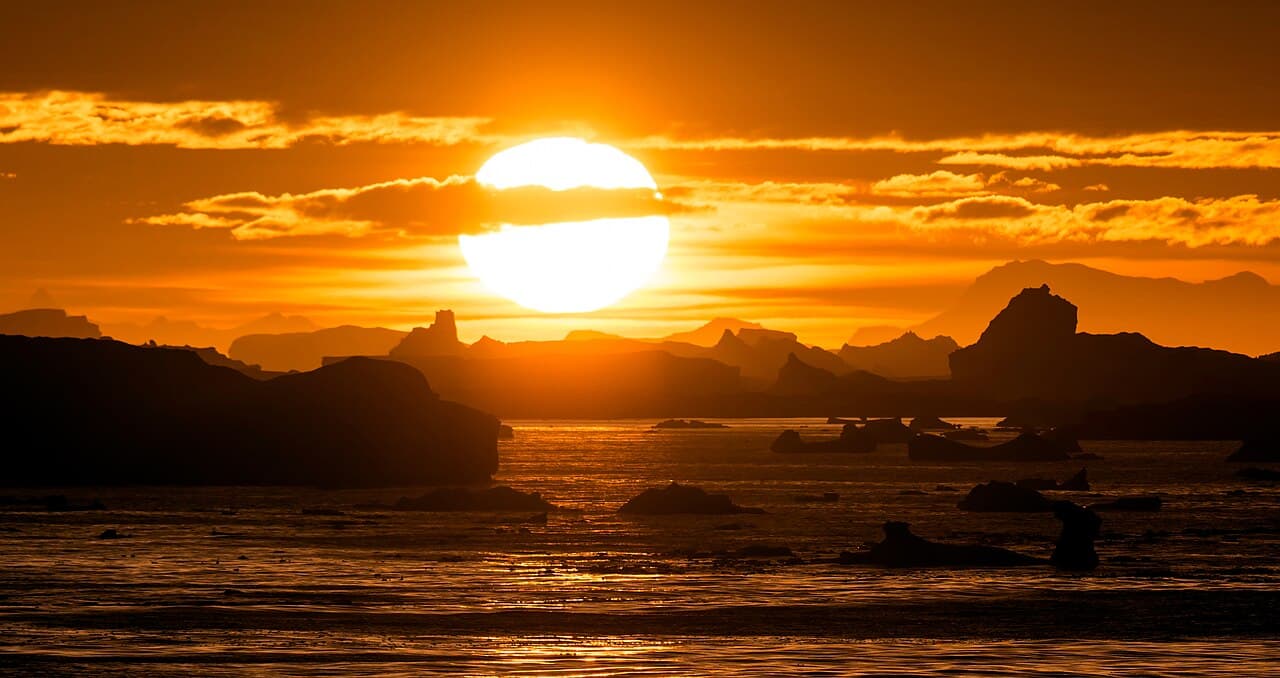 Антарктида — вид