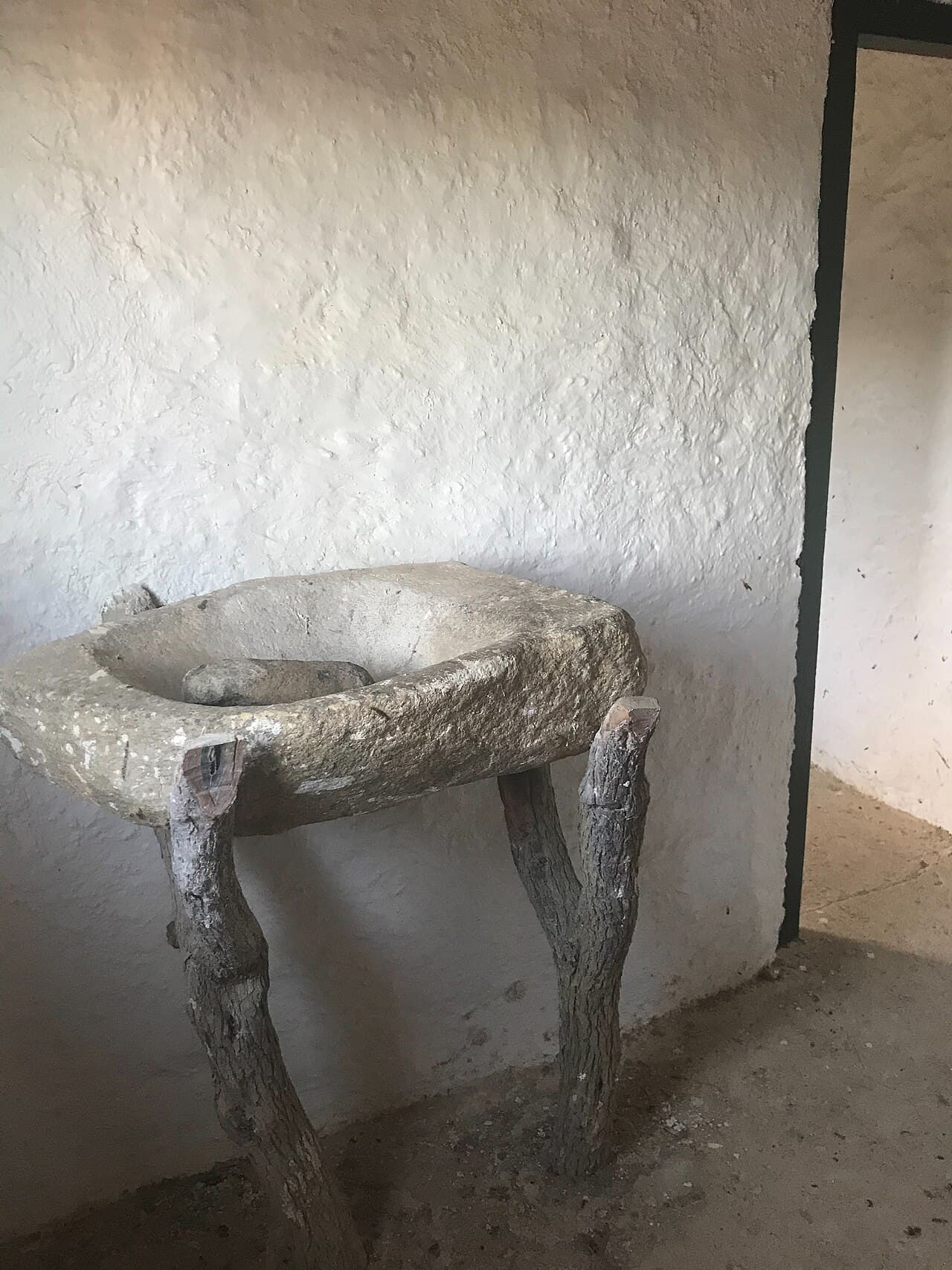 Аруба — вид