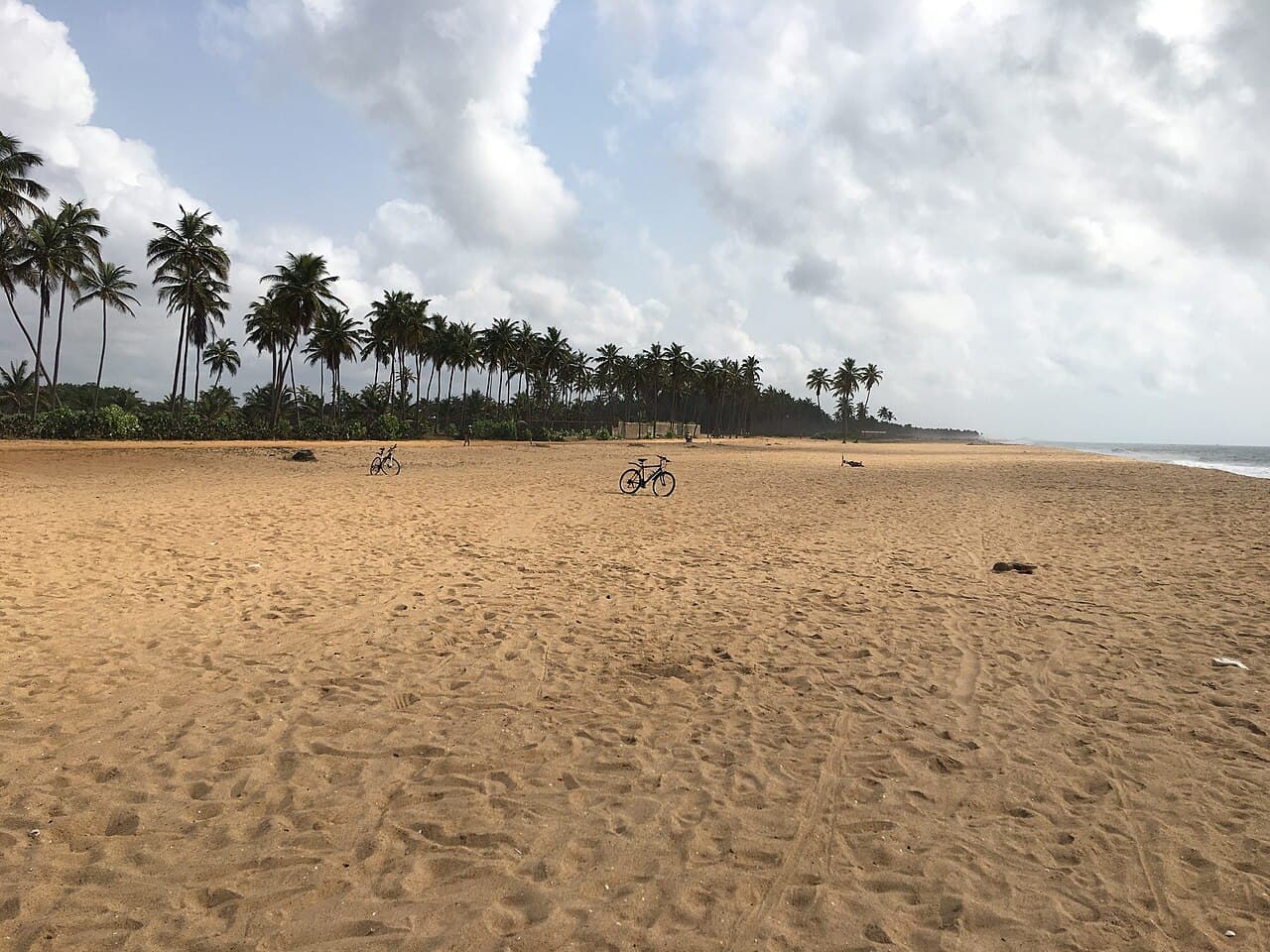 Бенин — вид