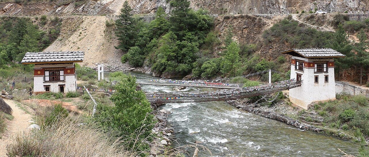 Бутан — вид