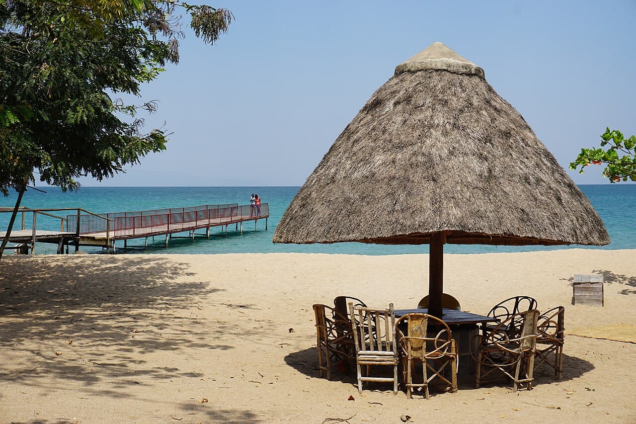 Бурунди — вид