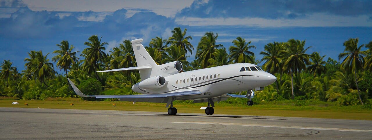 Кокосовые острова — вид