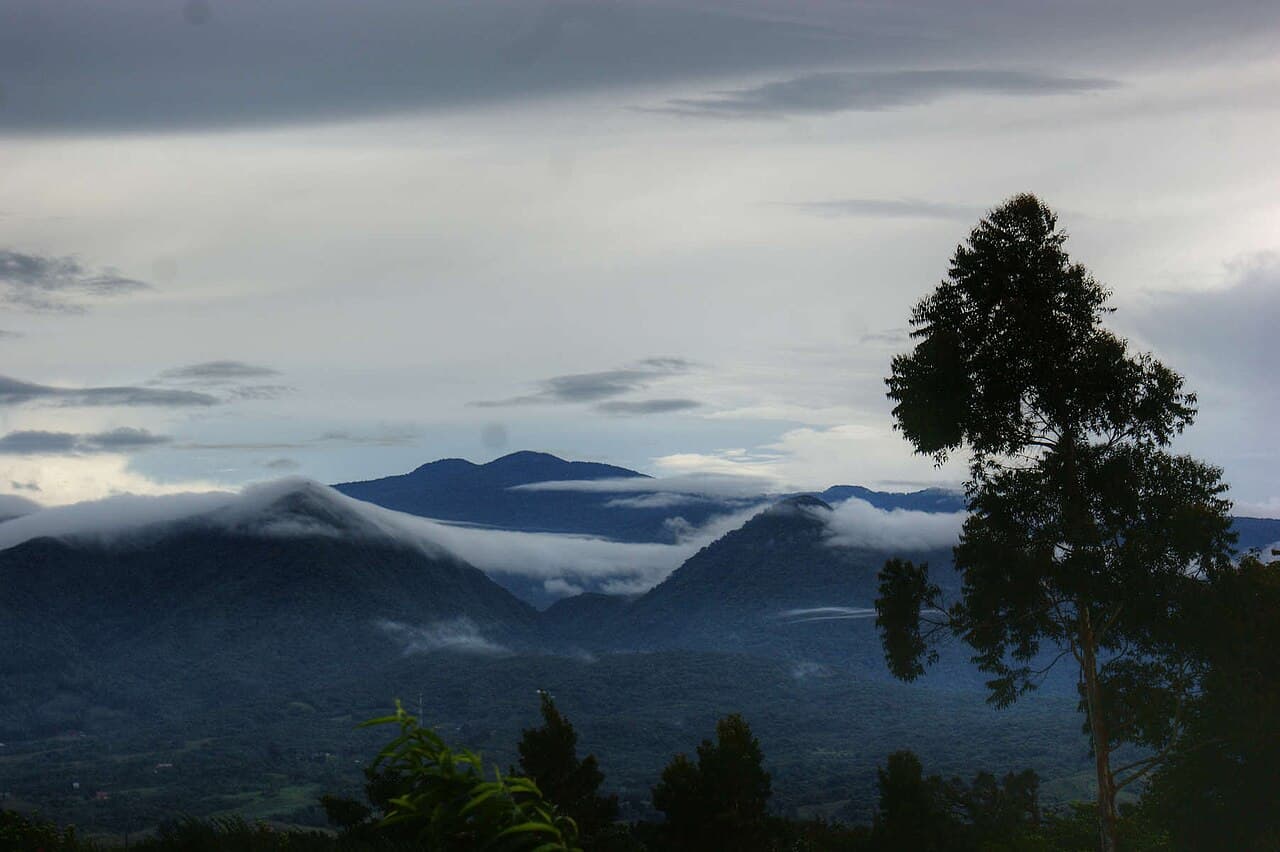 Коста-Рика — вид