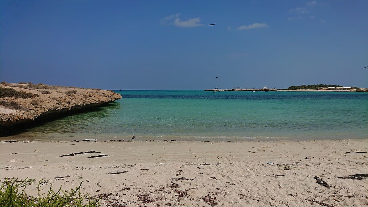 Джибути — вид