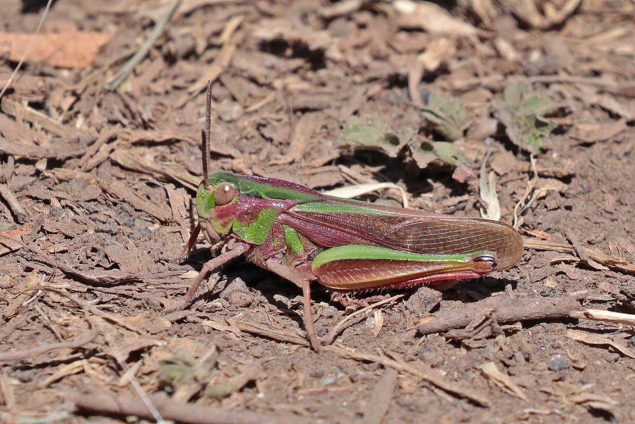 Эфиопия — фото для поездки