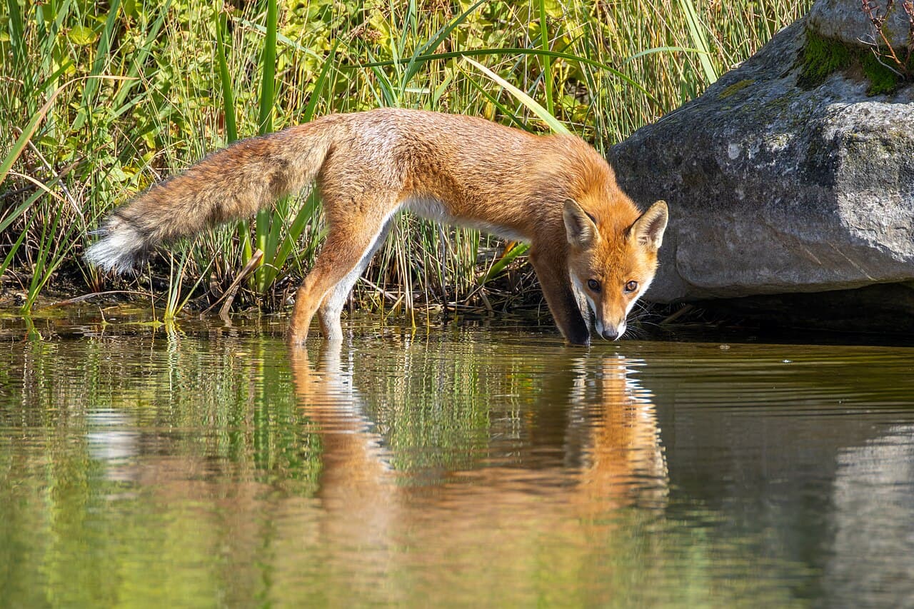 Нанси — фото для поездки