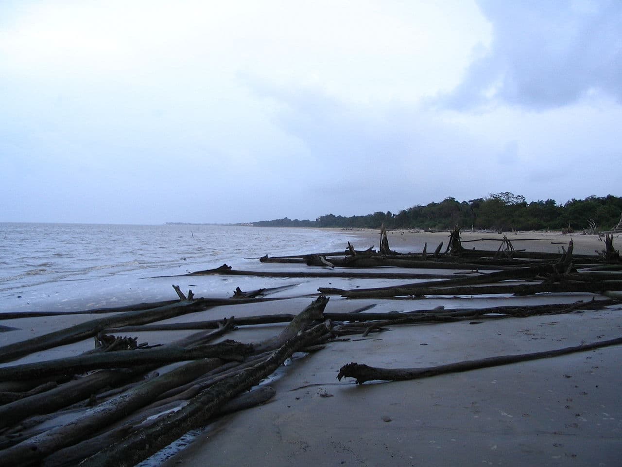 Французская Гвиана — вид