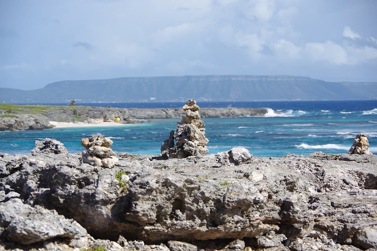 Гваделупа — вид