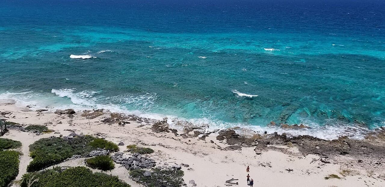 Гаити — вид