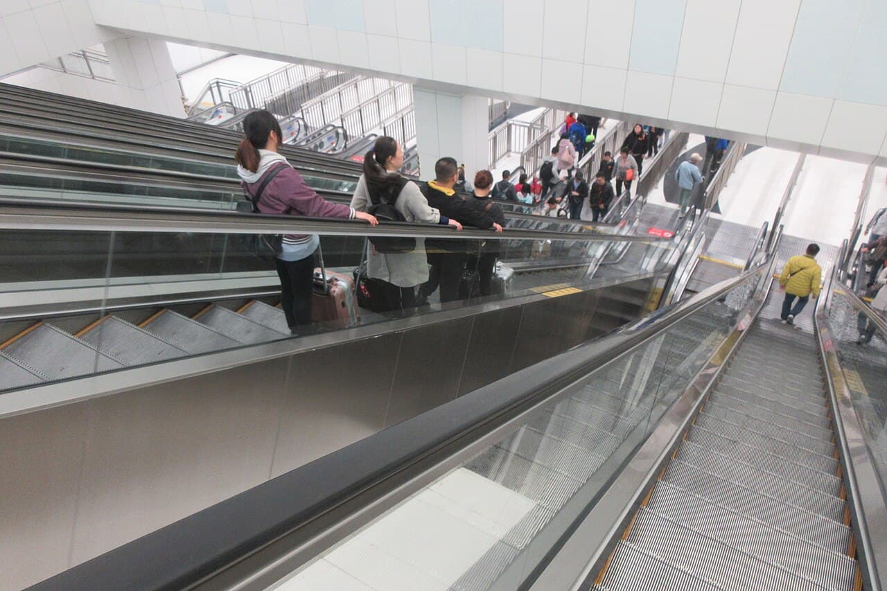 Макао — вид