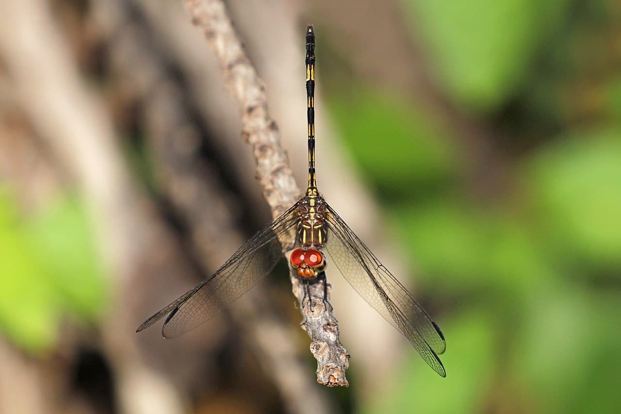 Панама — фото для поездки