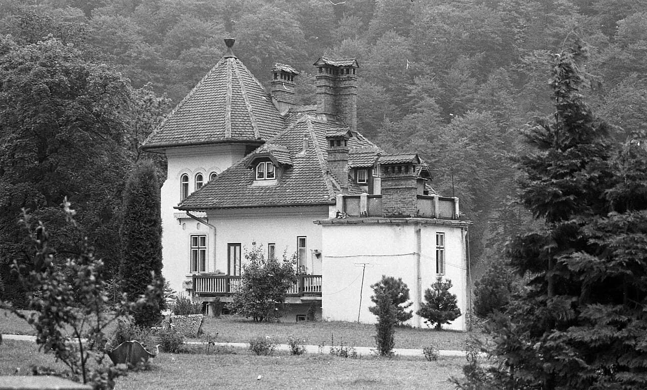 Румыния — вид