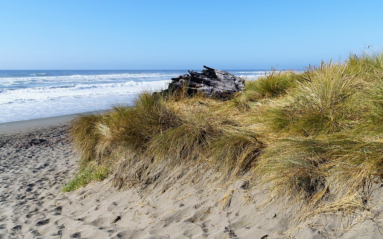 Самоа — фото для поездки