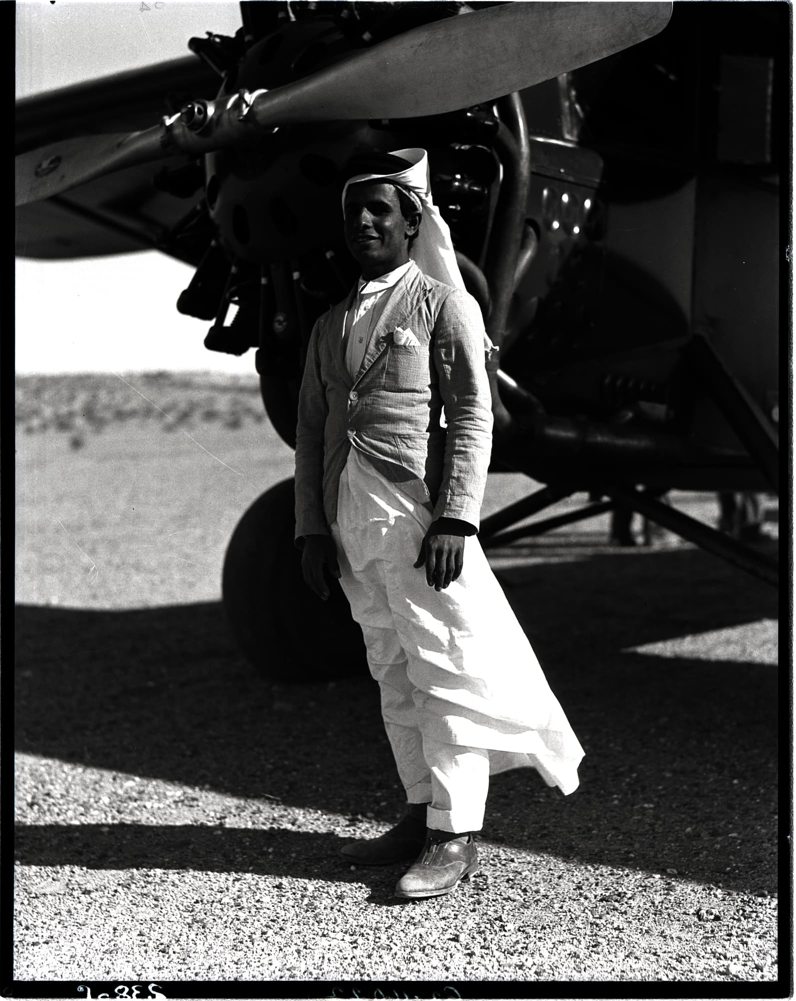 Саудовская Аравия — вид