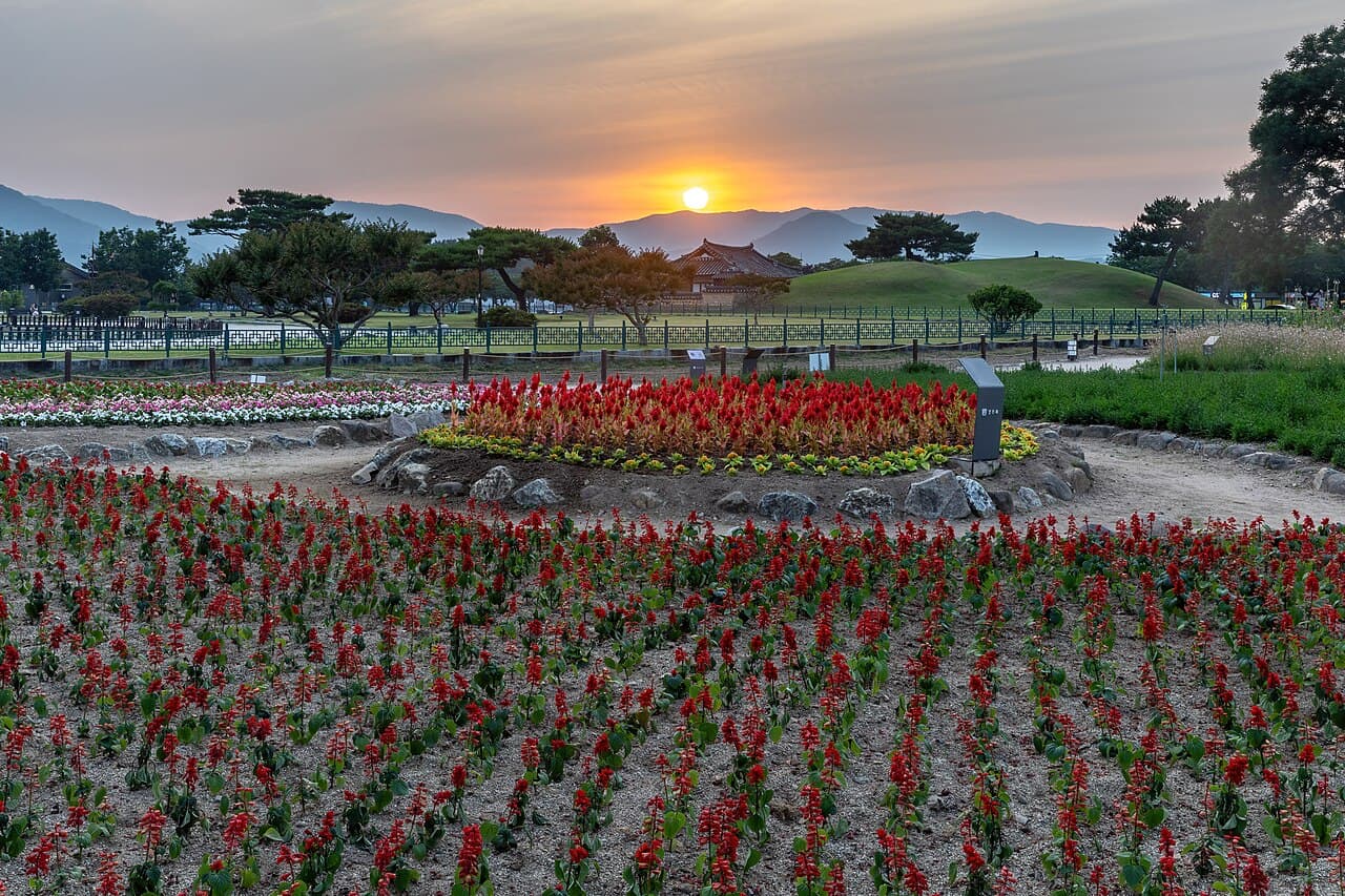 Южная Корея — фото для поездки