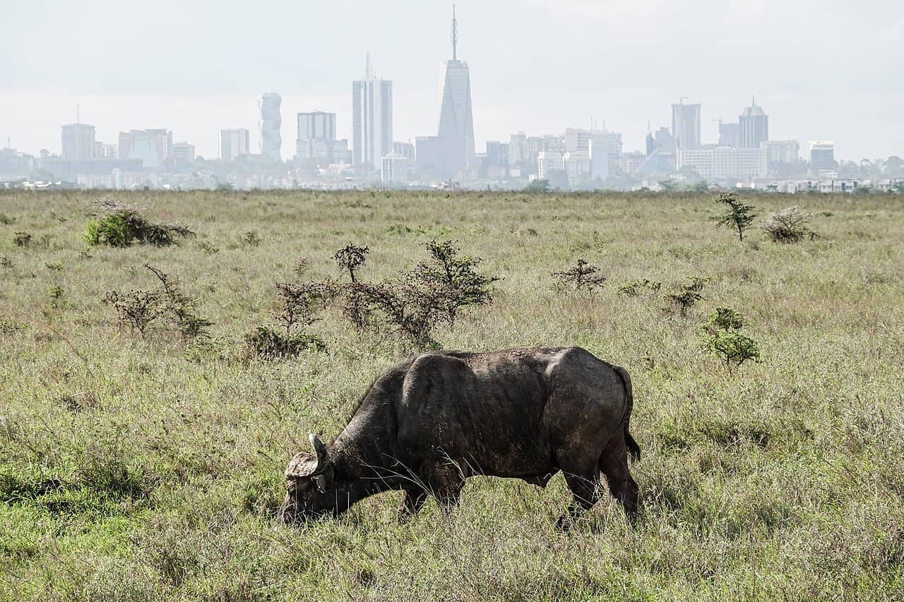Nairobi — travel photo