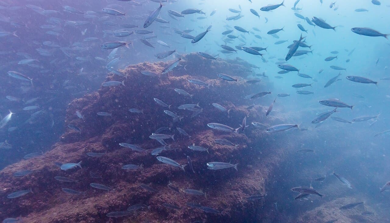 Santander — travel photo