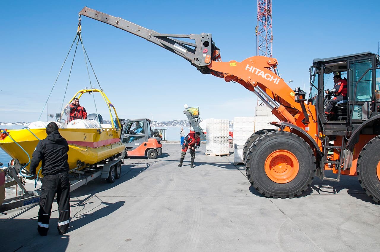 Аасиаат — вид