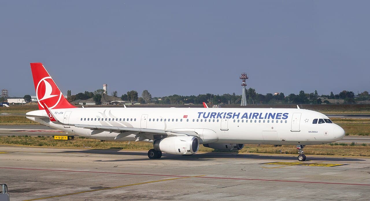 Болонья — вид