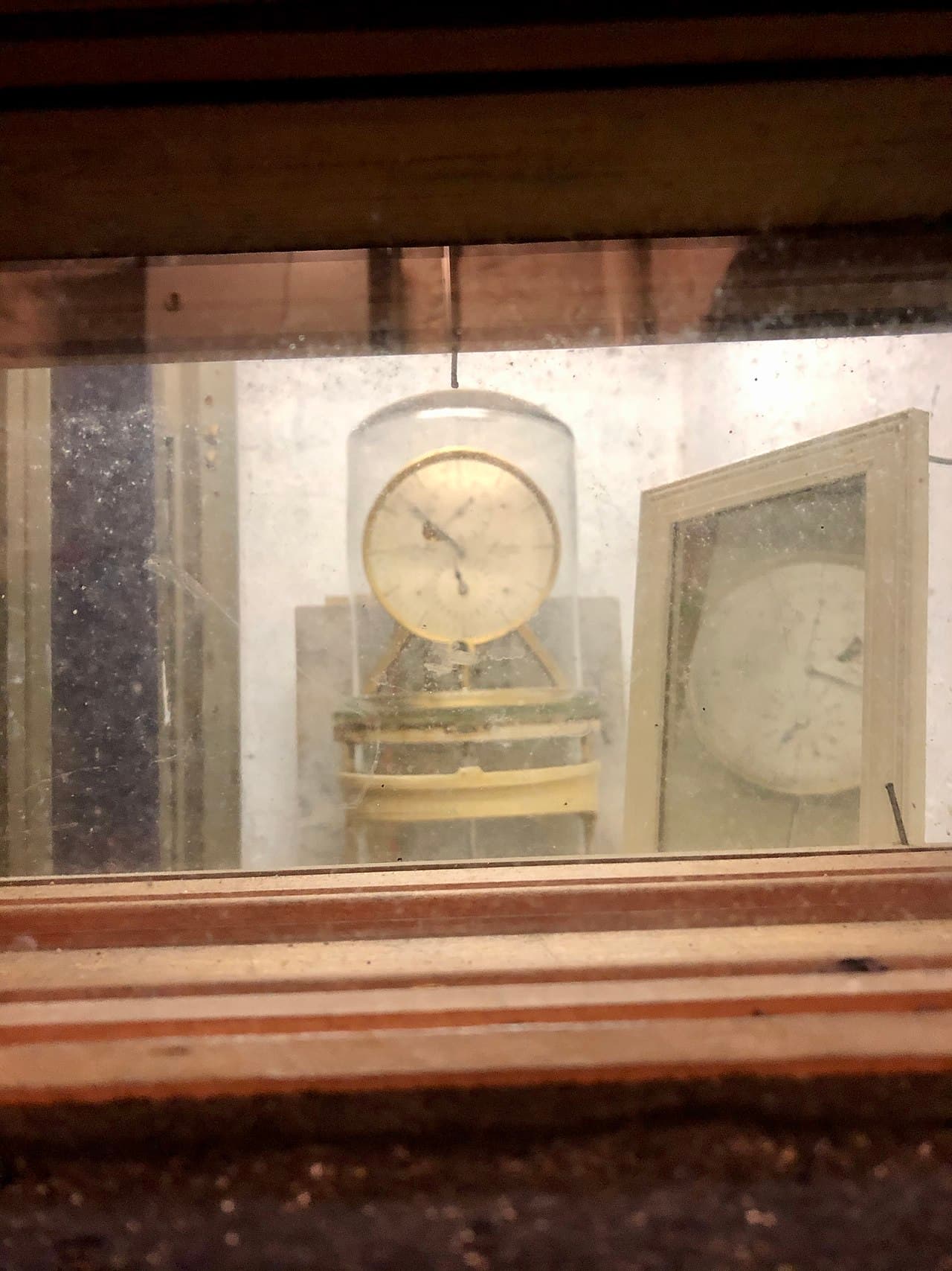 Цинциннати — вид