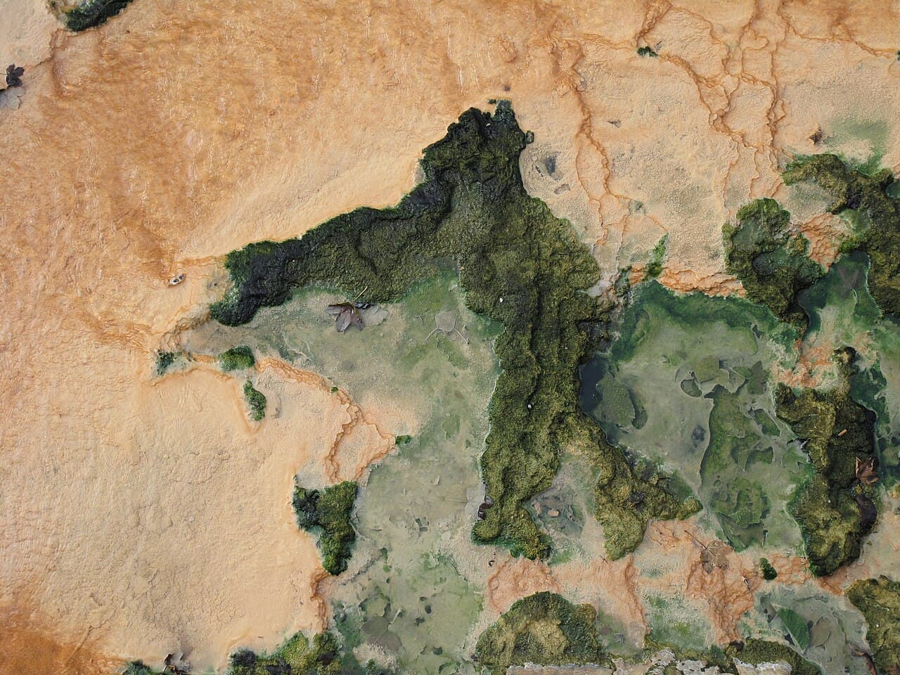 Карловы Вары — вид