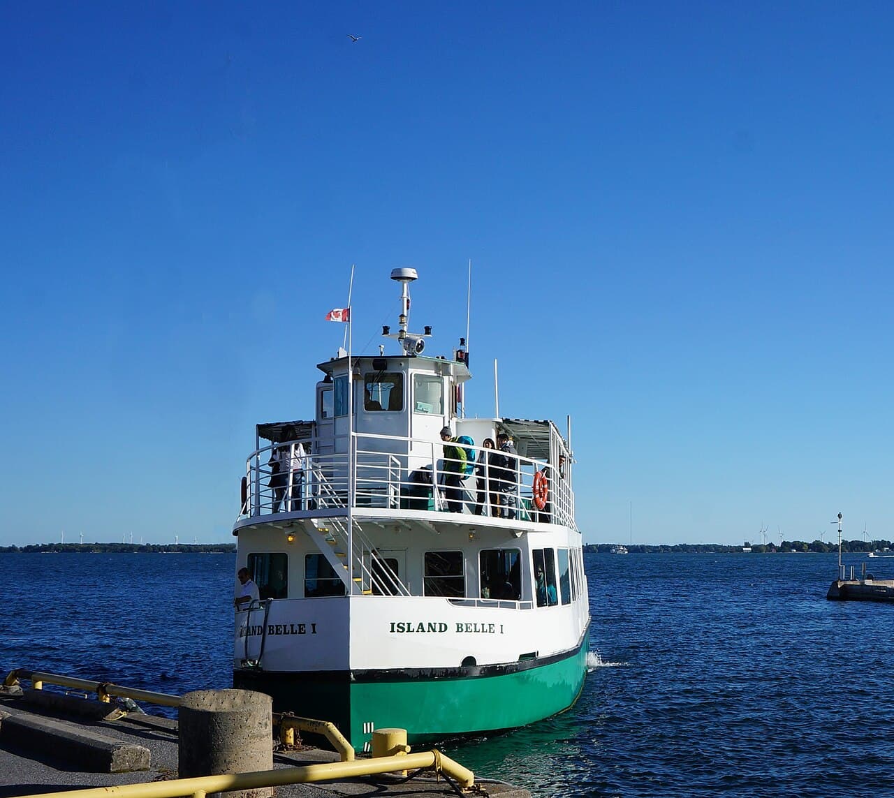 Кингстон — вид