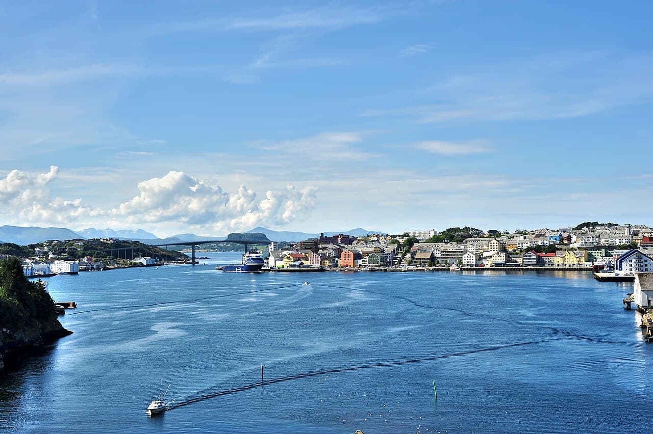 Кристиансунн — вид