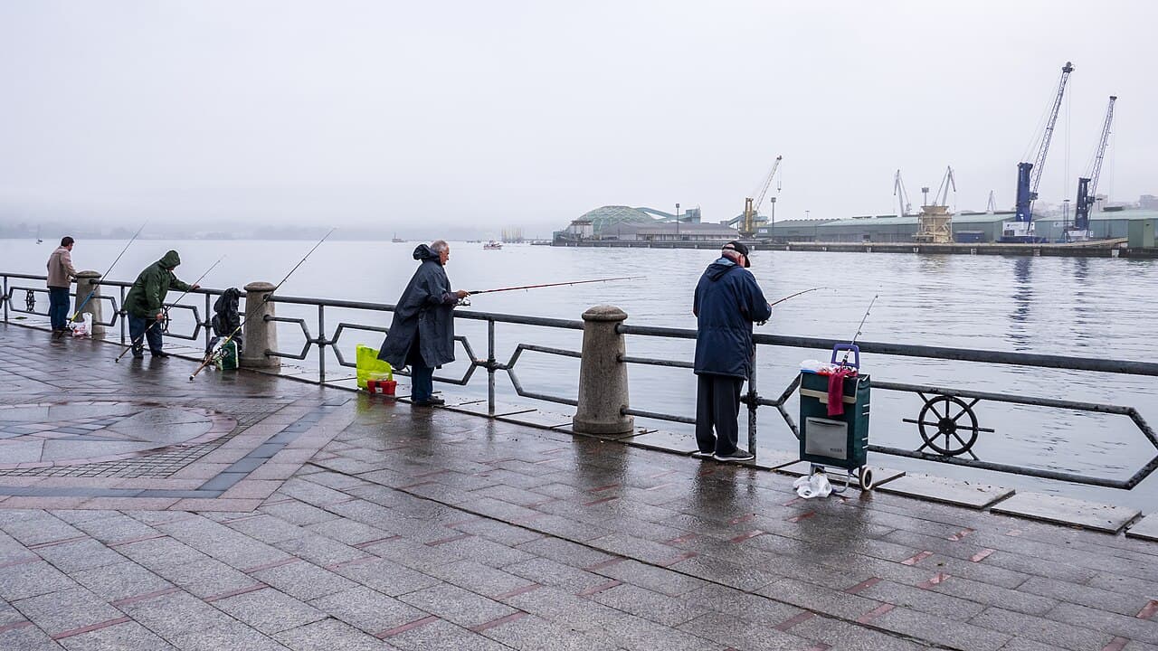 Ла-Корунья — вид