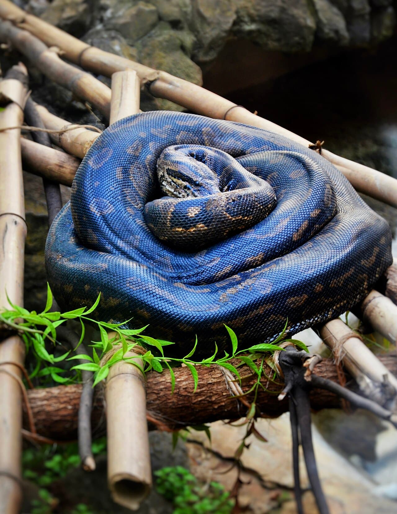 Найроби — вид