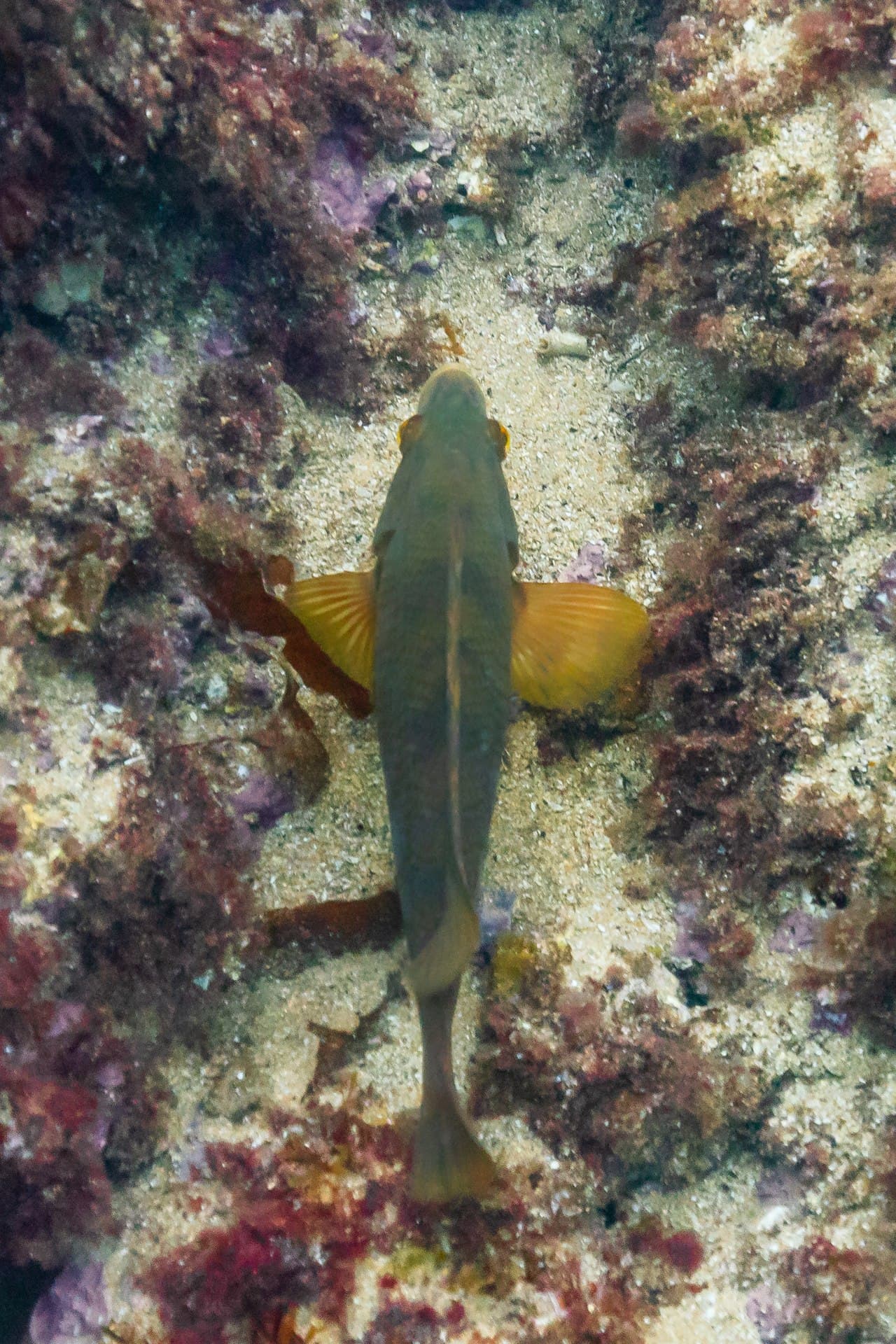 Сантандер — фото города