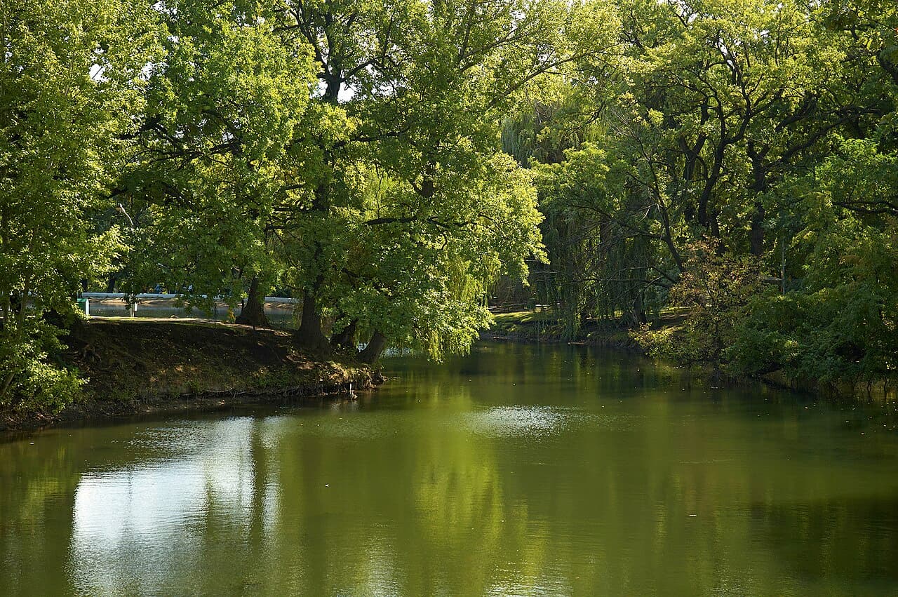 Саратов — фото города