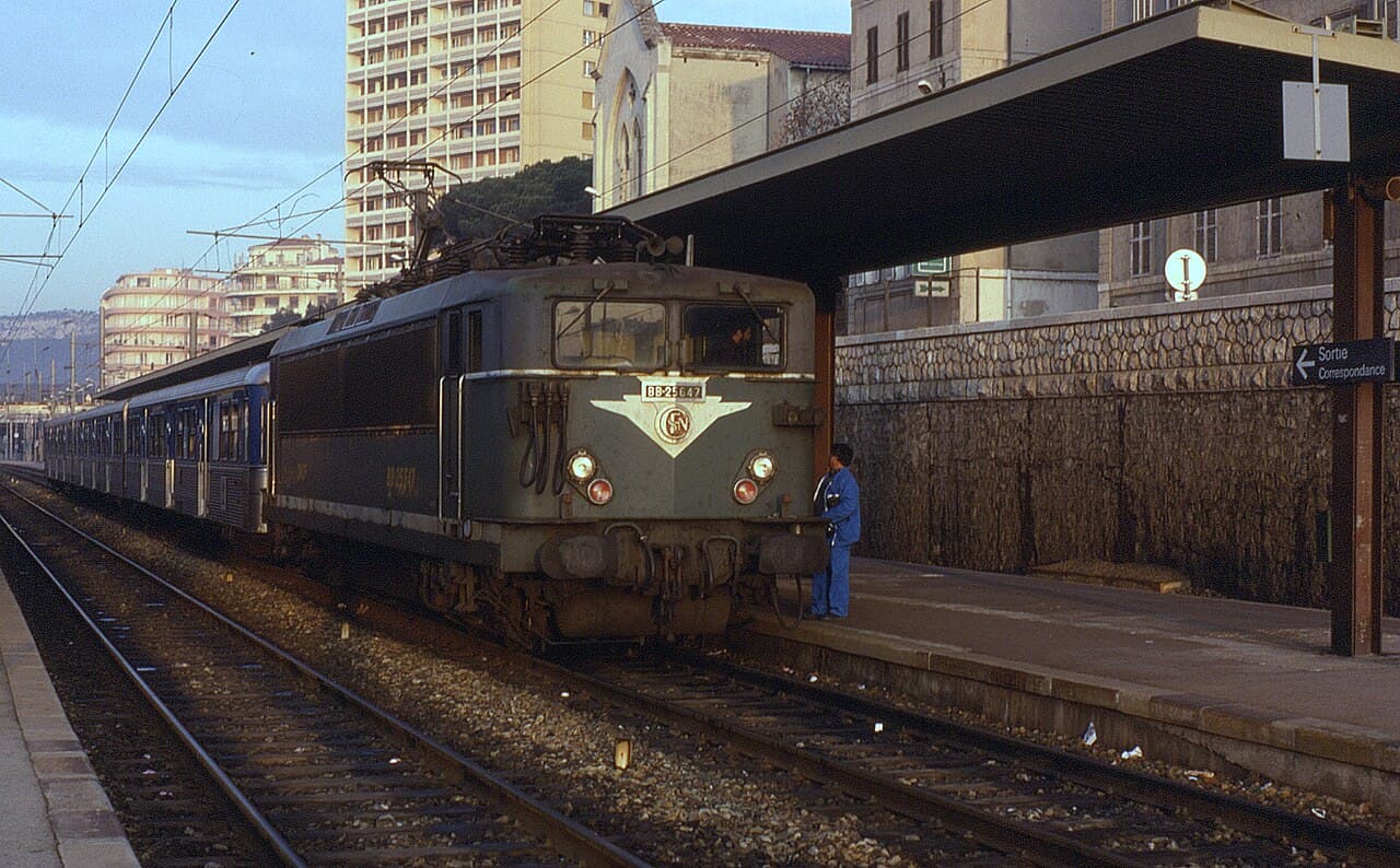 Тулон — вид