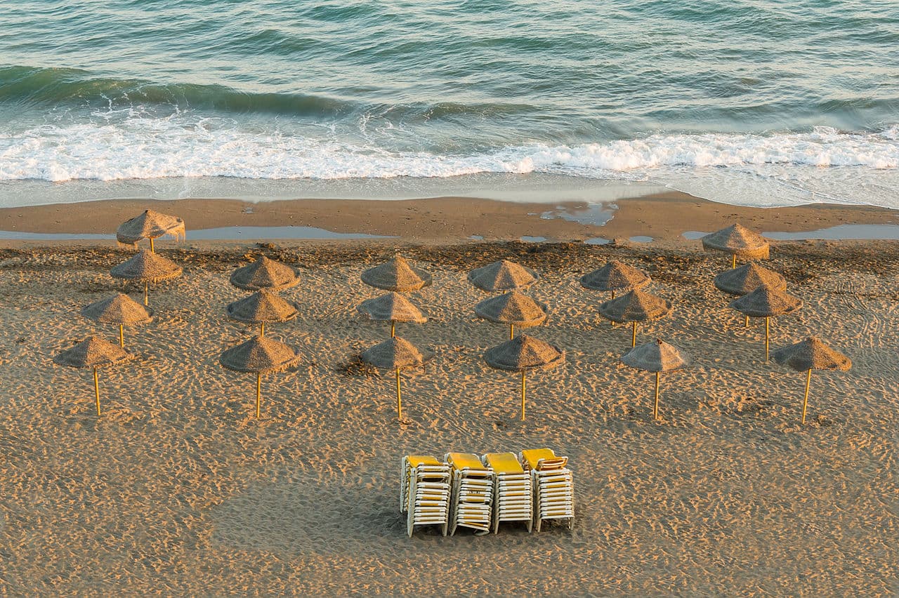 Виктория — вид