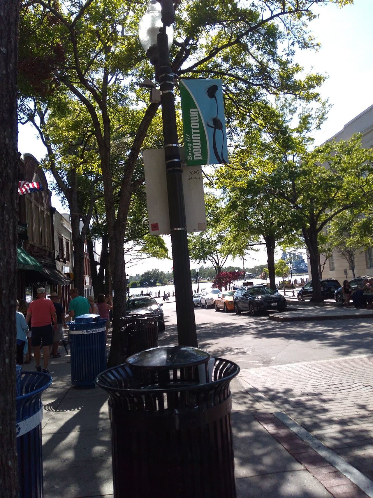 Уилмингтон — вид