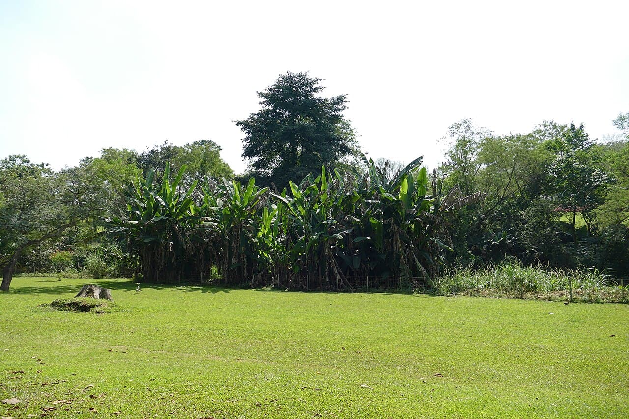 Abuja — travel photo