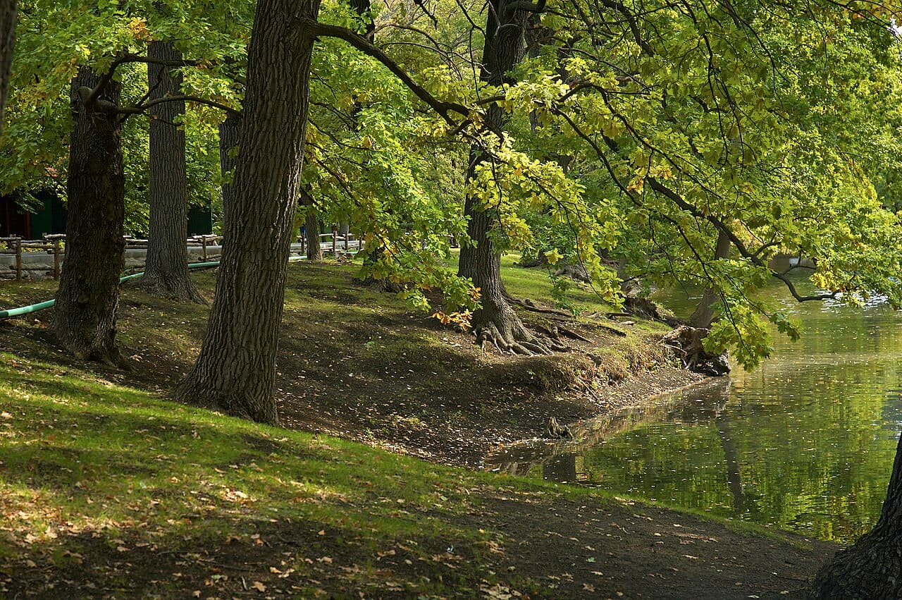 Saratov — travel photo