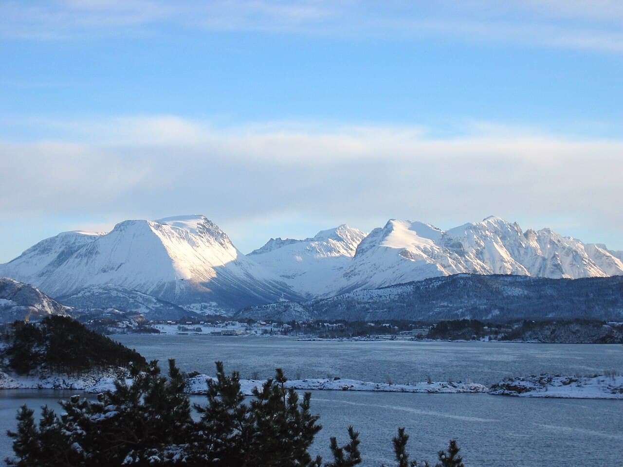 Олесунн — вид