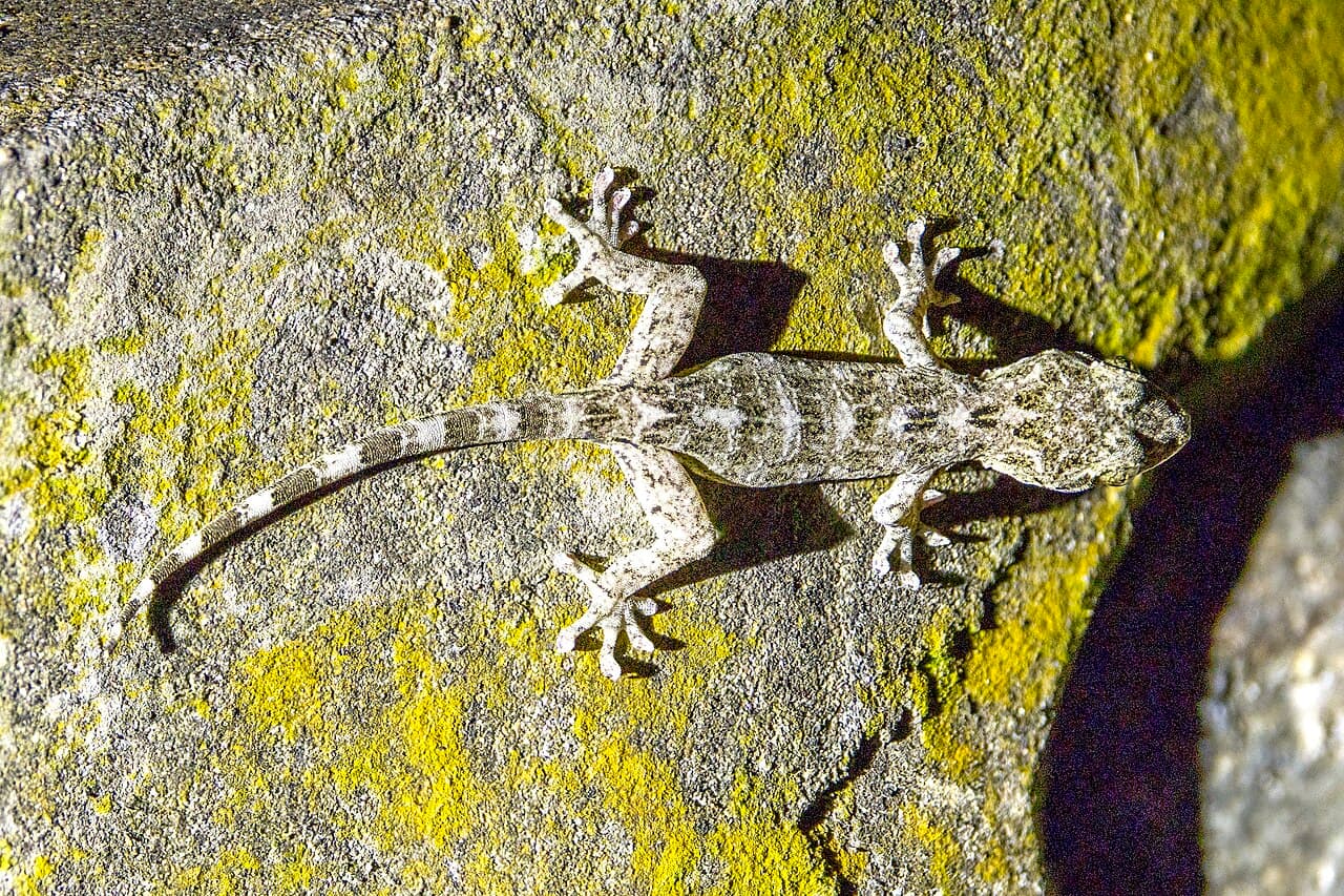 Абердин — фото города