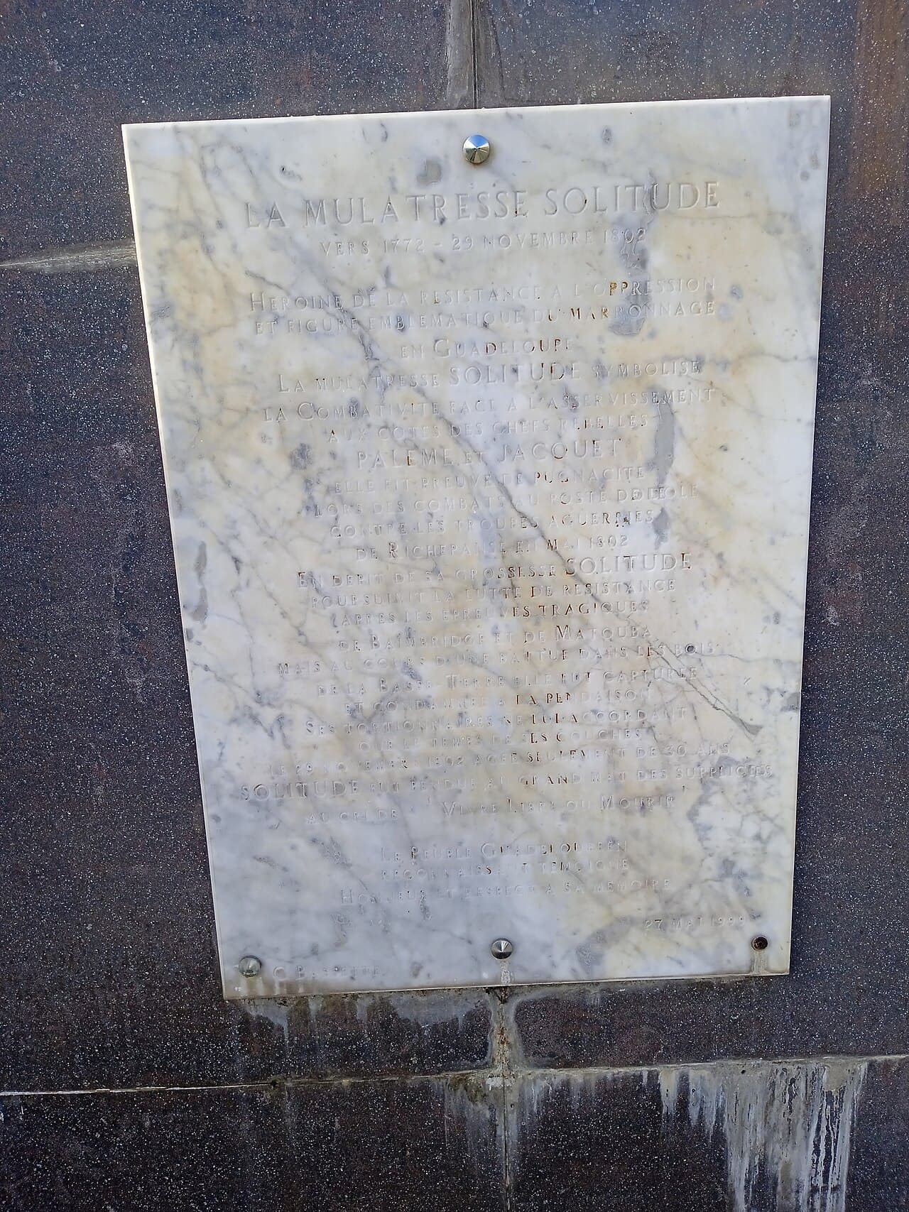 Пуэнт-а-Питр — вид