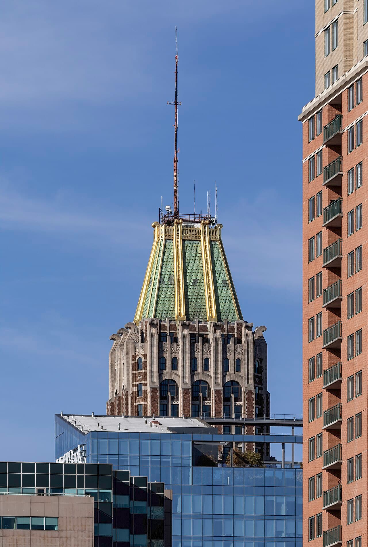 Балтимор — вид