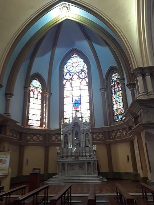 Белу-Оризонти — вид