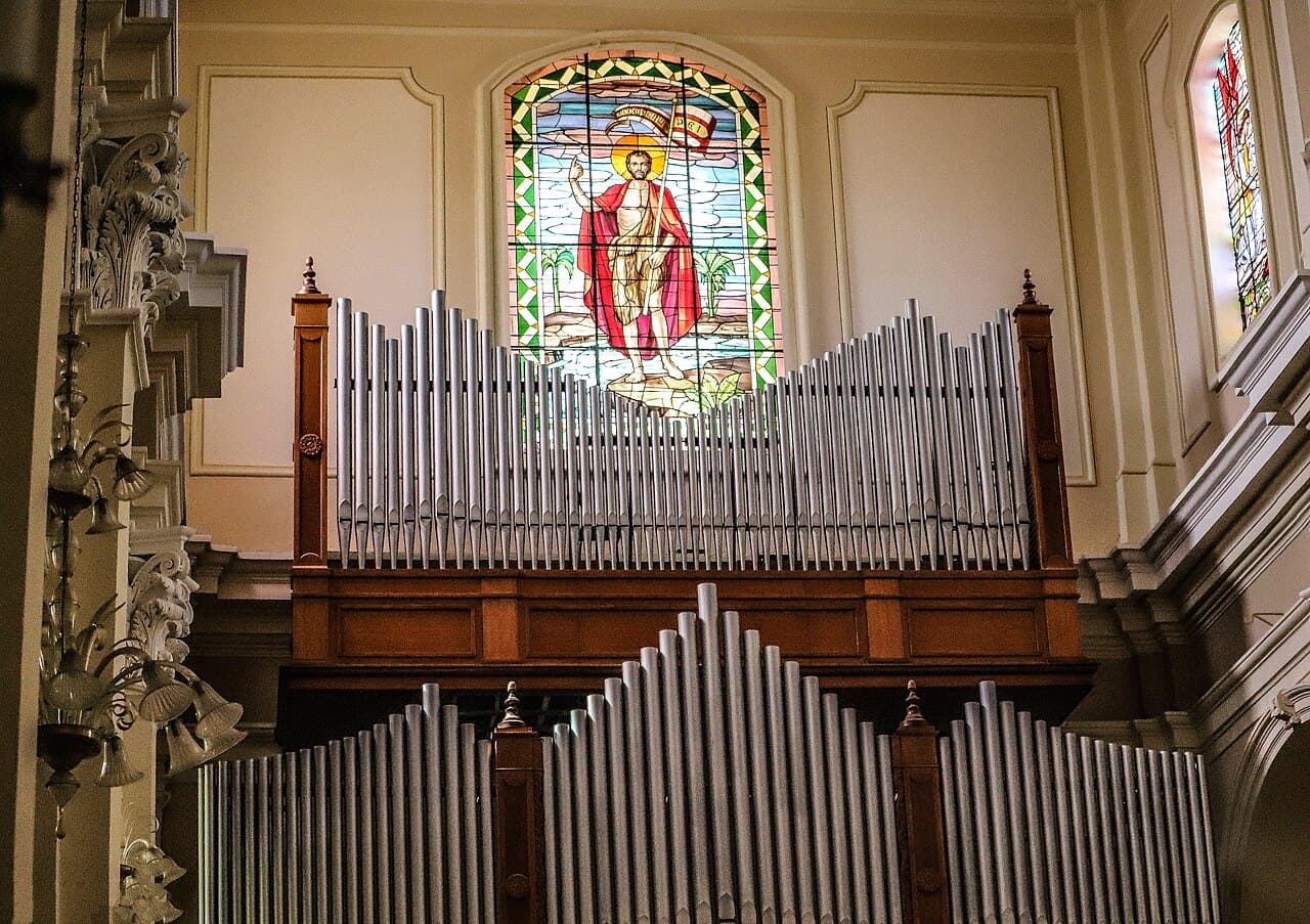 Бриндизи — вид