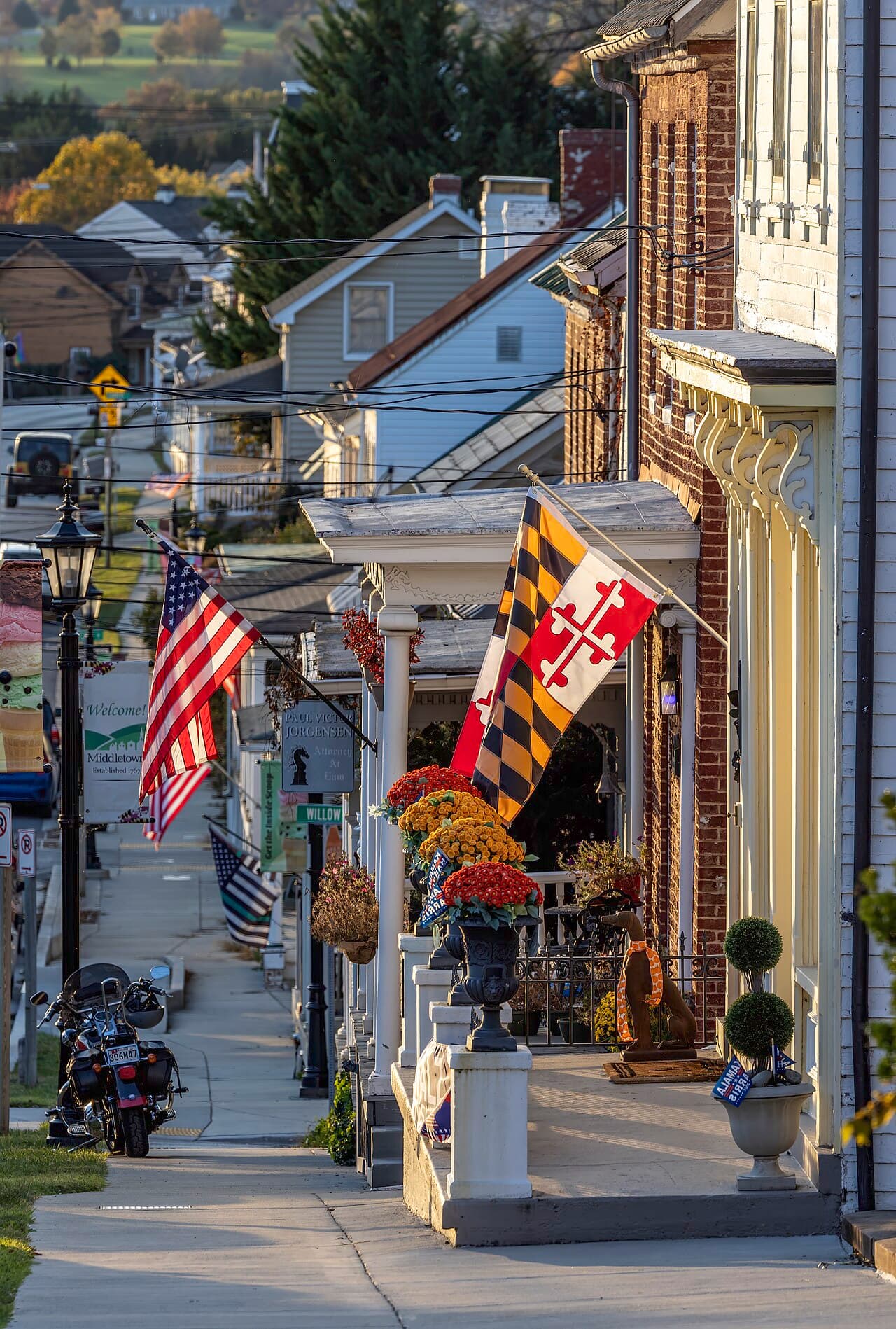 Гаррисберг — вид